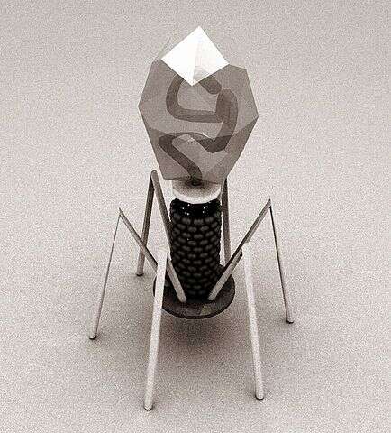 Czy wszystkie wirusy są szkodliwe?