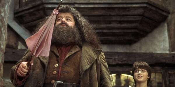 Kilka najciekawszych teorii dotyczących Harry’ego Pottera – część 2