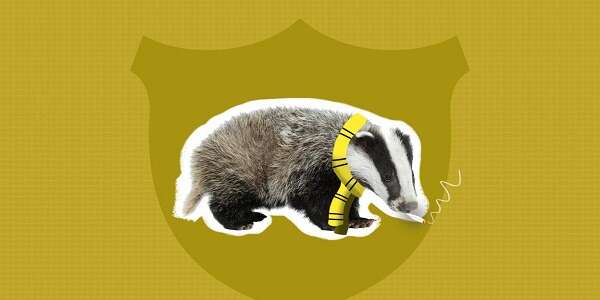 Kilka najciekawszych teorii dotyczących Harry’ego Pottera – część 2