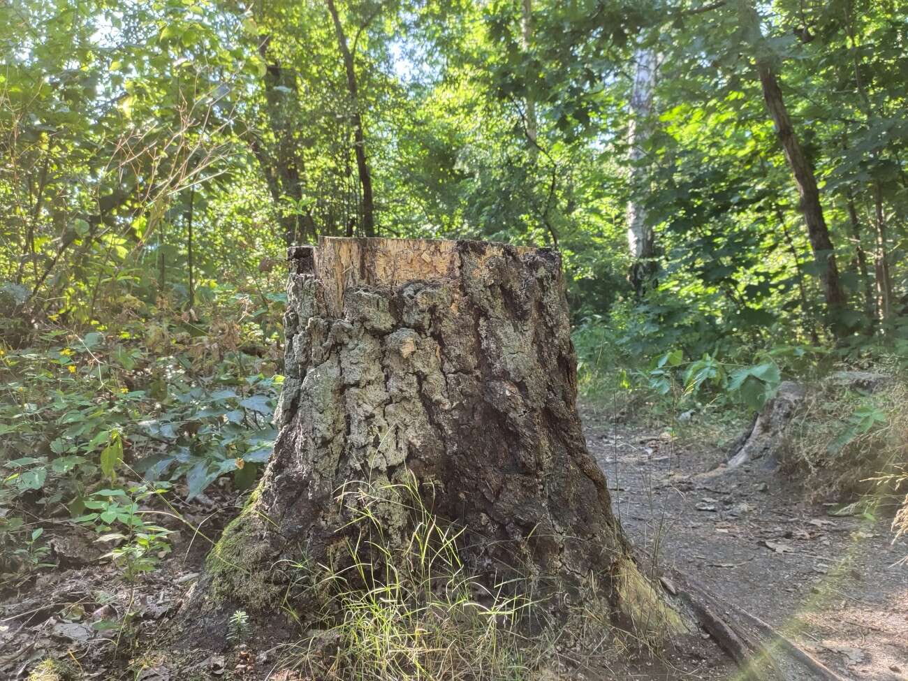 Test Vivo IQOO 3 5G - gamingowy mocarz dla entuzjastów