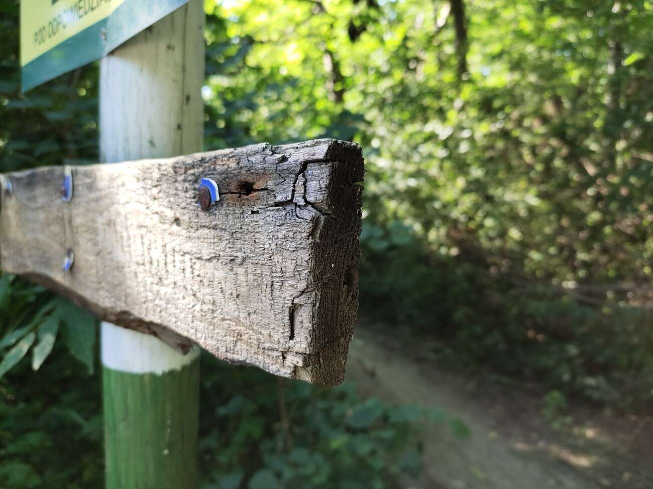 Test Vivo IQOO 3 5G - gamingowy mocarz dla entuzjastów