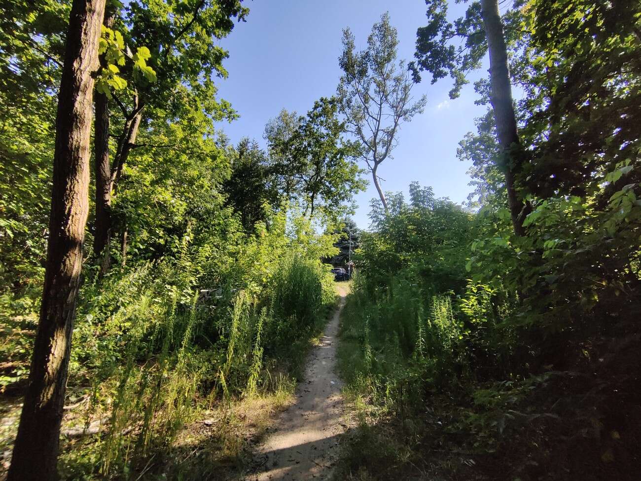 Test Vivo IQOO 3 5G - gamingowy mocarz dla entuzjastów