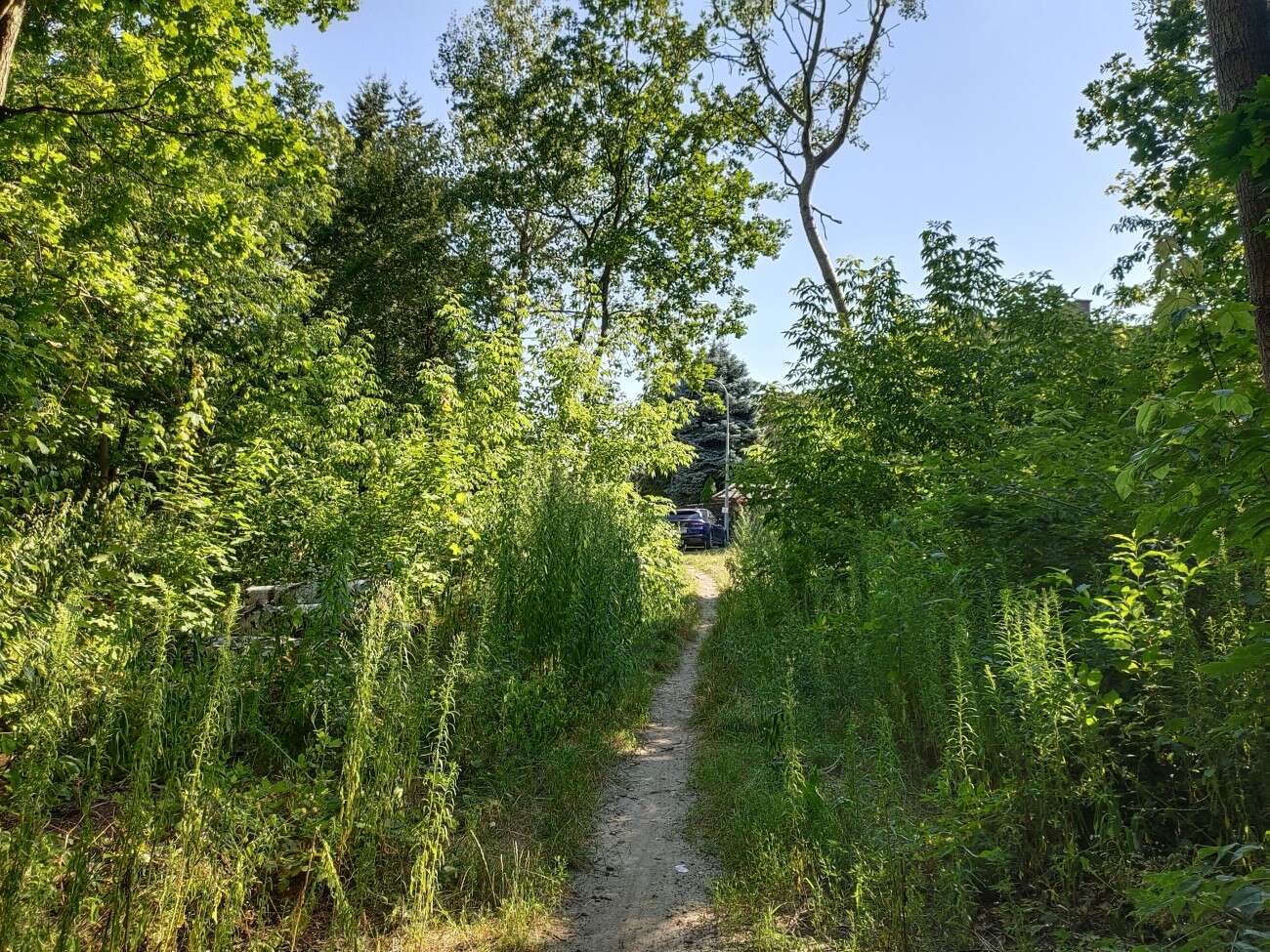 Test Vivo IQOO 3 5G - gamingowy mocarz dla entuzjastów