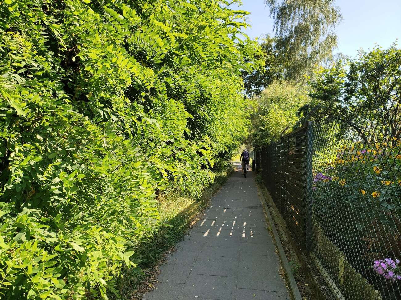 Test Vivo IQOO 3 5G - gamingowy mocarz dla entuzjastów