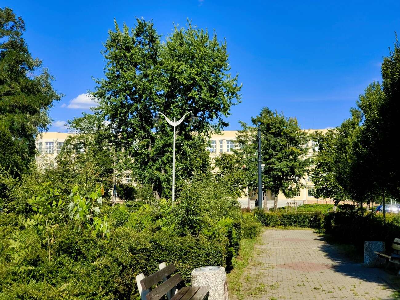 Test Vivo IQOO 3 5G - gamingowy mocarz dla entuzjastów