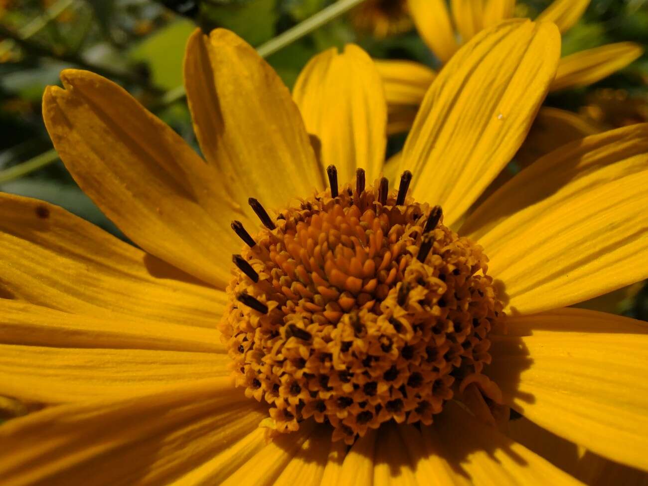 Sieć 5G jest jak przeskoczenie długiej kolejki w sklepie