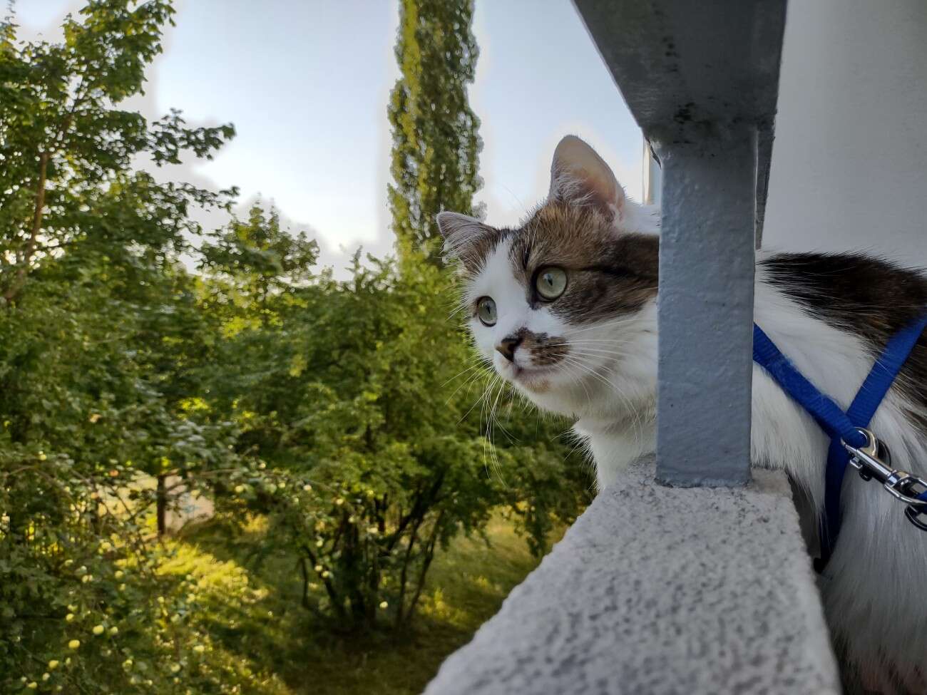 Sieć 5G jest jak przeskoczenie długiej kolejki w sklepie