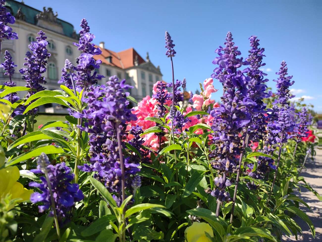 Sieć 5G jest jak przeskoczenie długiej kolejki w sklepie