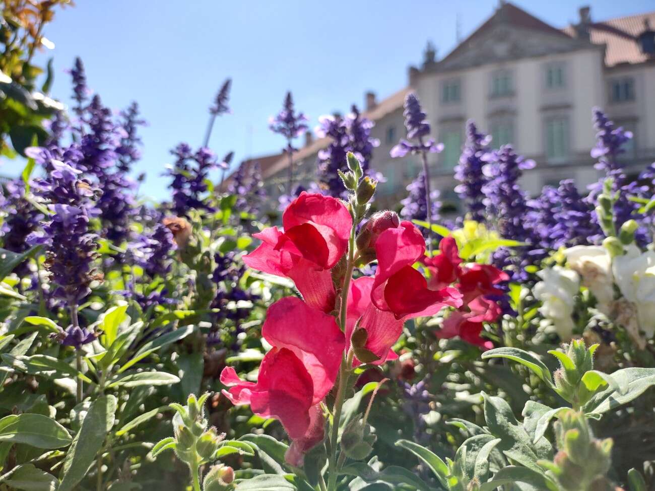 Sieć 5G jest jak przeskoczenie długiej kolejki w sklepie