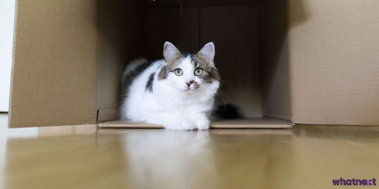 iRobot Roomba i7+, czyli jak przekonałem się do robotów sprzątających