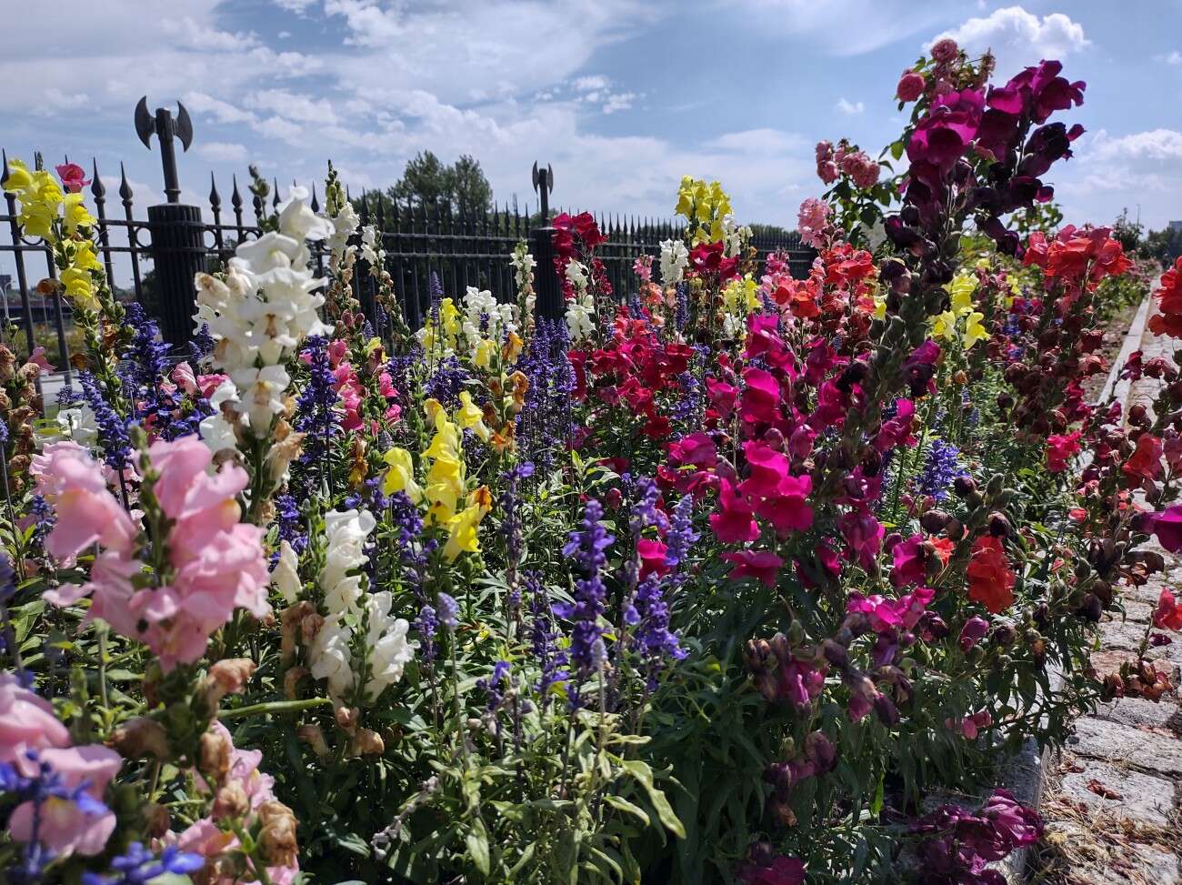 Sieć 5G jest jak przeskoczenie długiej kolejki w sklepie