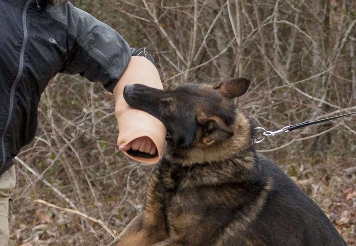 Najciekawsze newsy tygodnia – militaria [02.08.2020]