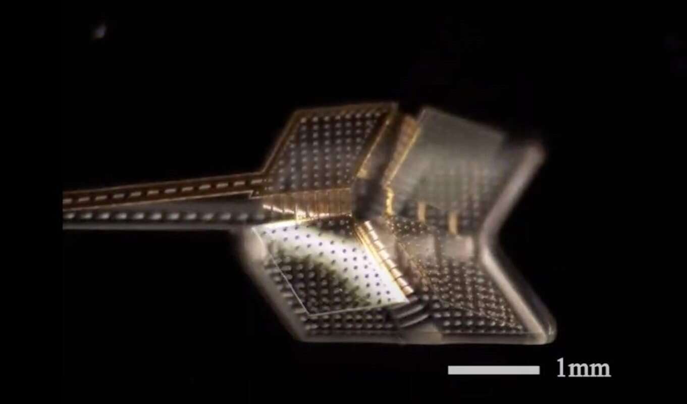 Te inspirowane origami mikroboty mogą kiedyś nas leczyć