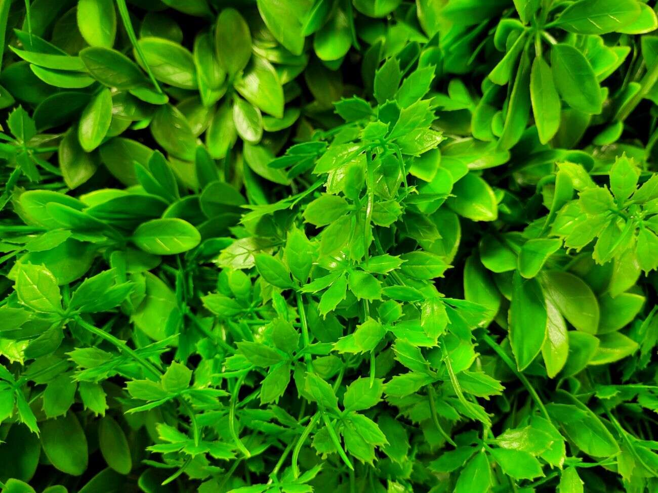 Samsung Galaxy S20 FE 5G - więcej takich smartfonów poproszę