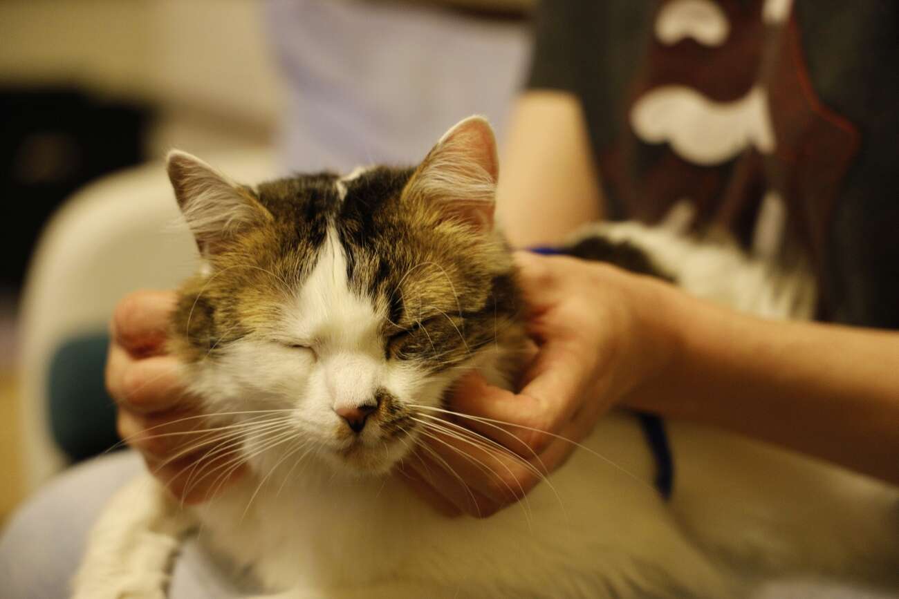 Canon EOS R wrażenia po długim teście!