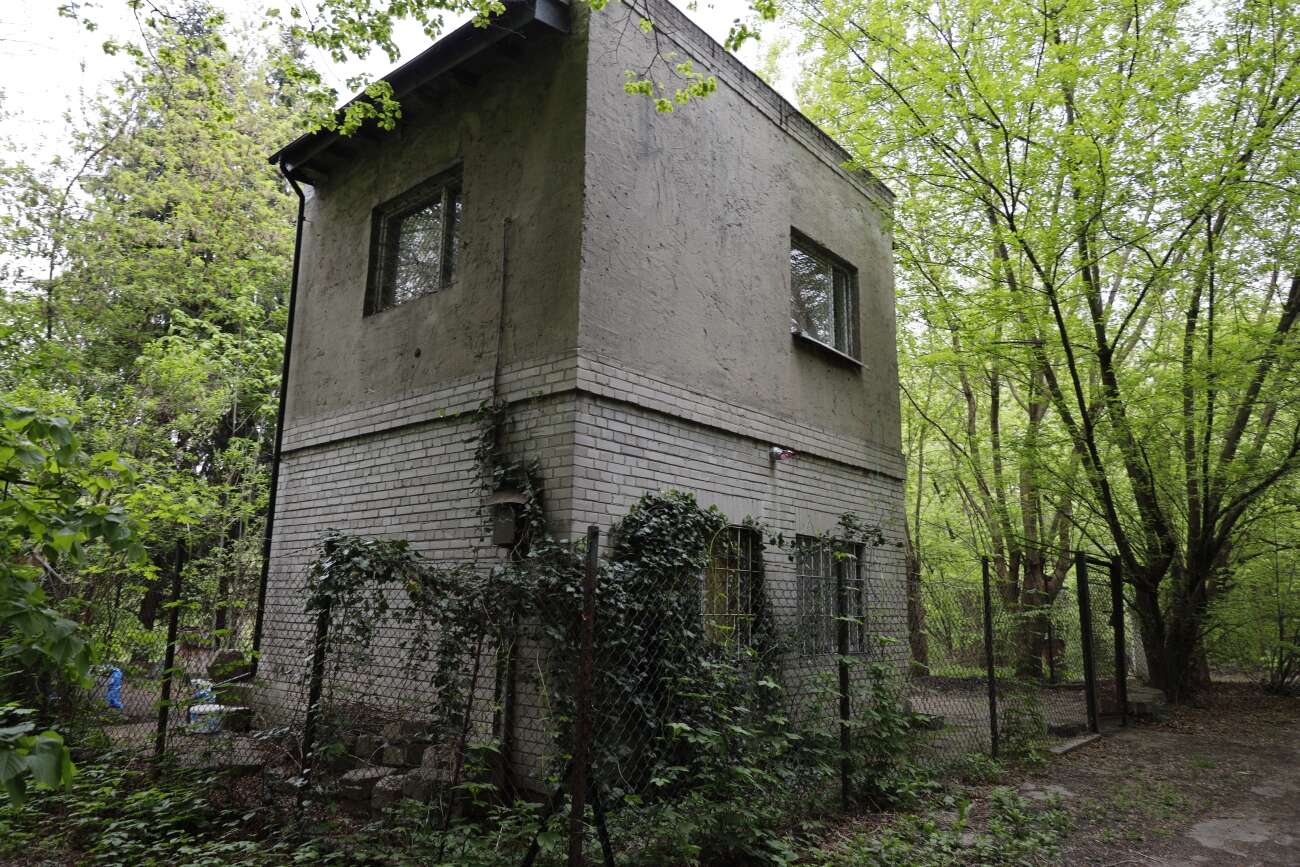 Canon EOS R wrażenia po długim teście!