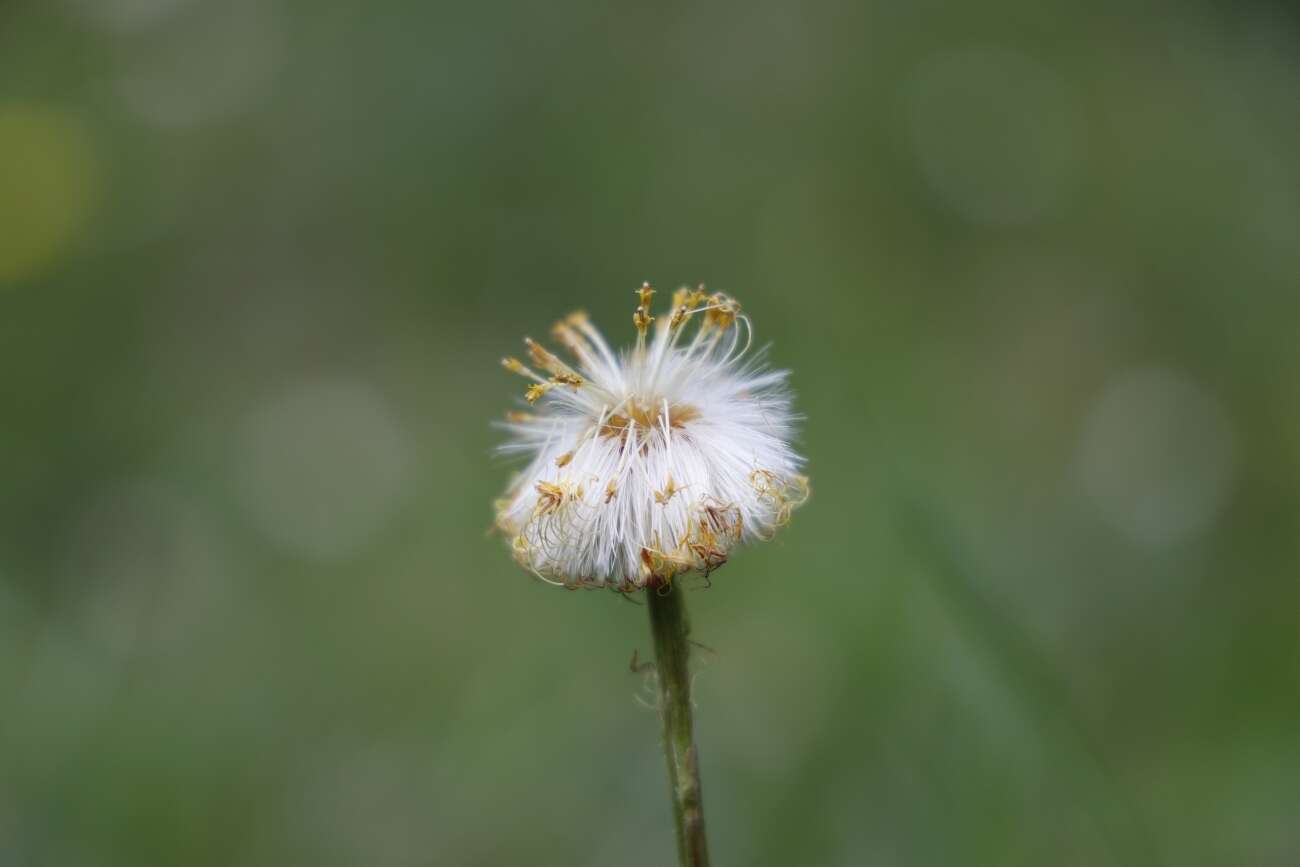 Canon EOS R wrażenia po długim teście!