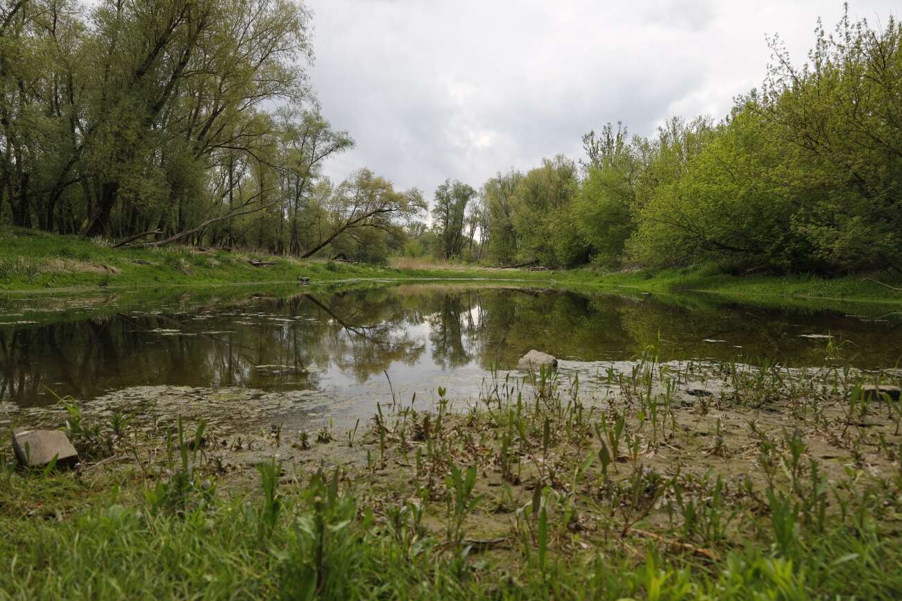 Canon EOS R wrażenia po długim teście!