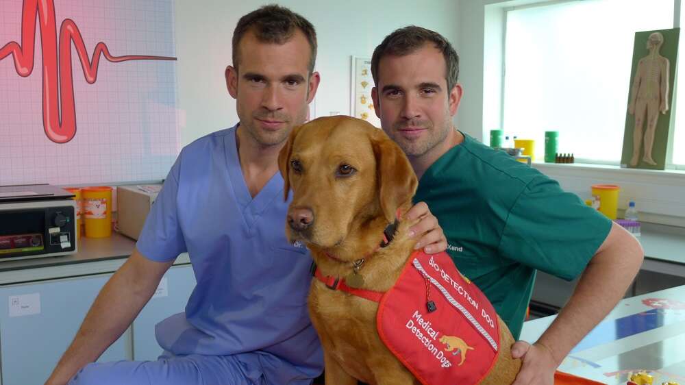 Poznaj Da Vinci Kids – wielotematyczną aplikację edukacyjną dla dzieci