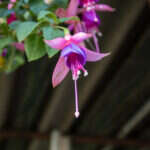 Recenzja Canon PowerShot G7 X III. Idealny kompan podróży