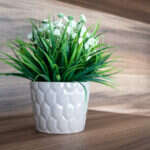 Recenzja Canon PowerShot G7 X III. Idealny kompan podróży