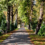 Recenzja Canon PowerShot G7 X III. Idealny kompan podróży