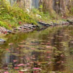 Recenzja Canon PowerShot G7 X III. Idealny kompan podróży