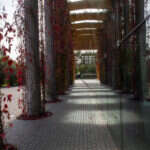 Recenzja Canon PowerShot G7 X III. Idealny kompan podróży