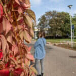 Recenzja Canon PowerShot G7 X III. Idealny kompan podróży