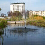 Recenzja Canon PowerShot G7 X III. Idealny kompan podróży