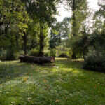 Recenzja Canon PowerShot G7 X III. Idealny kompan podróży