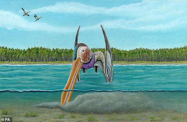 Przerośnięty kiwi z długim dziobem? Oto pterozaur z okresu kredy