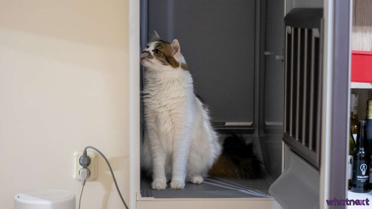 Test Samsung AirDresser. Szafa parowa jak powiew luksusu