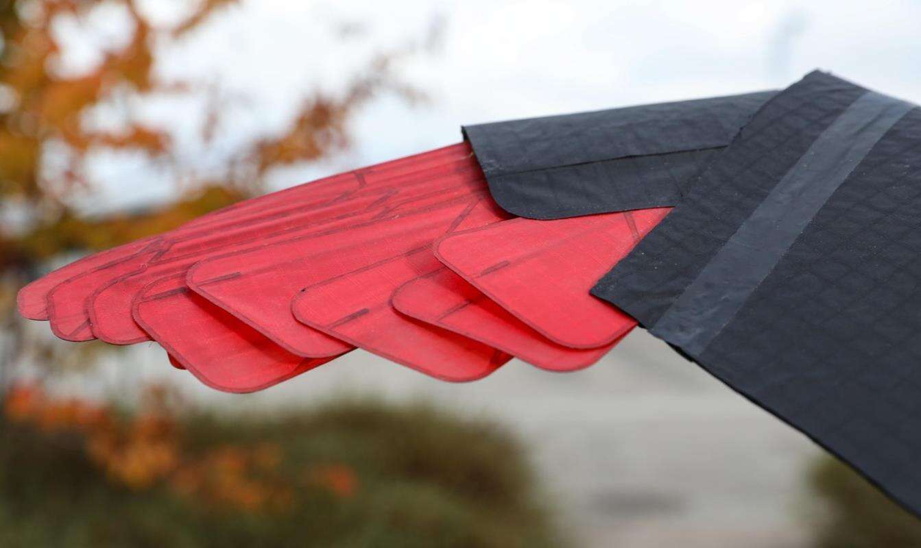 Ten dron z piórami lata niczym jastrząb