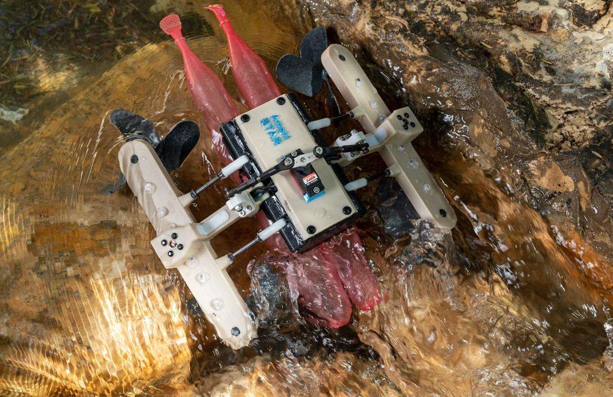 robot AmphiSTAR biega po wodzie