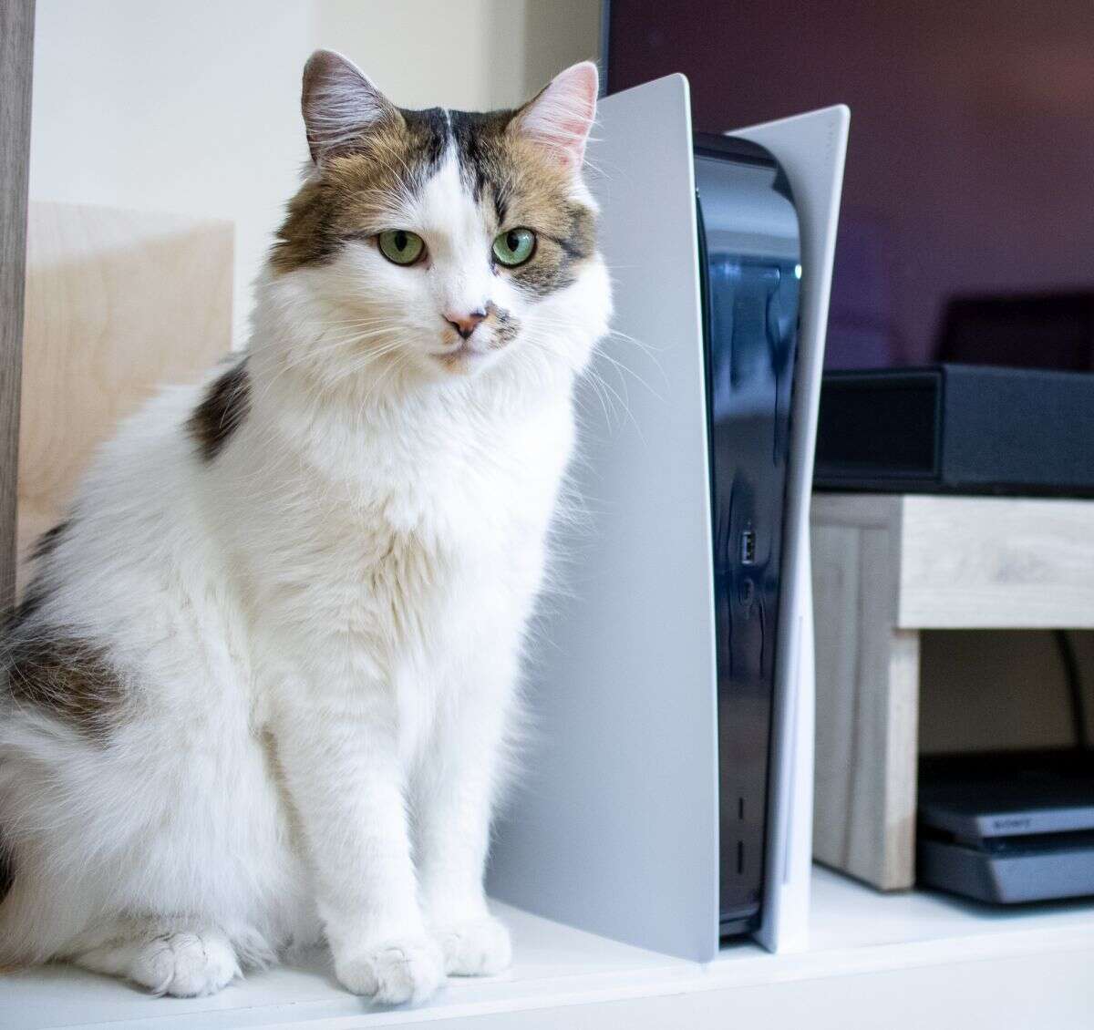 Sony PlayStation 5 test recenzja