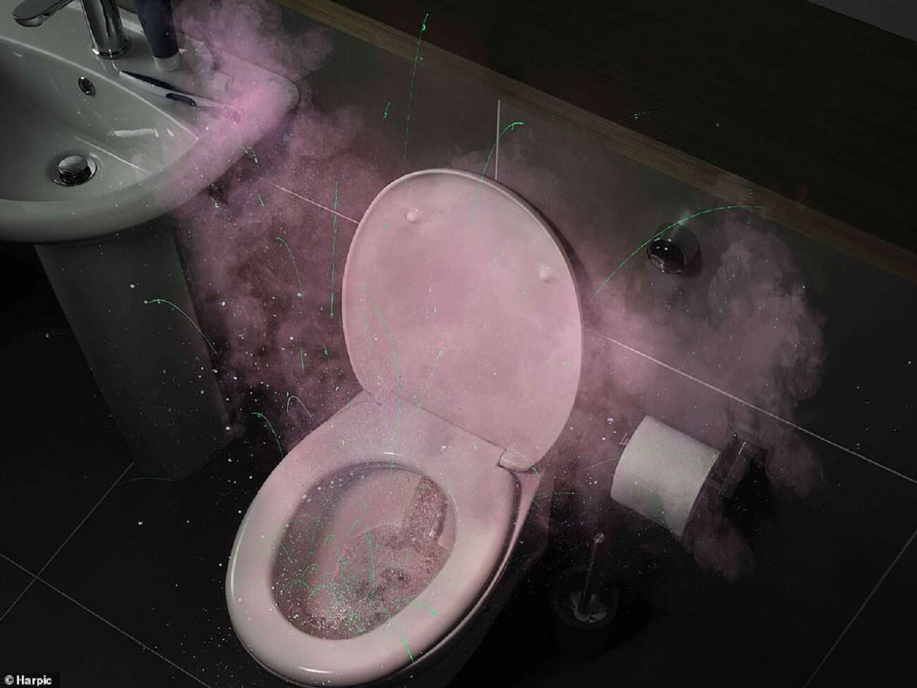 bakterie w toalecie