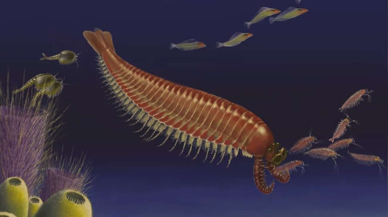 Brakujące ogniwo u stawonogów. Zobaczcie dziwaczną istotę sprzed 500 mln lat