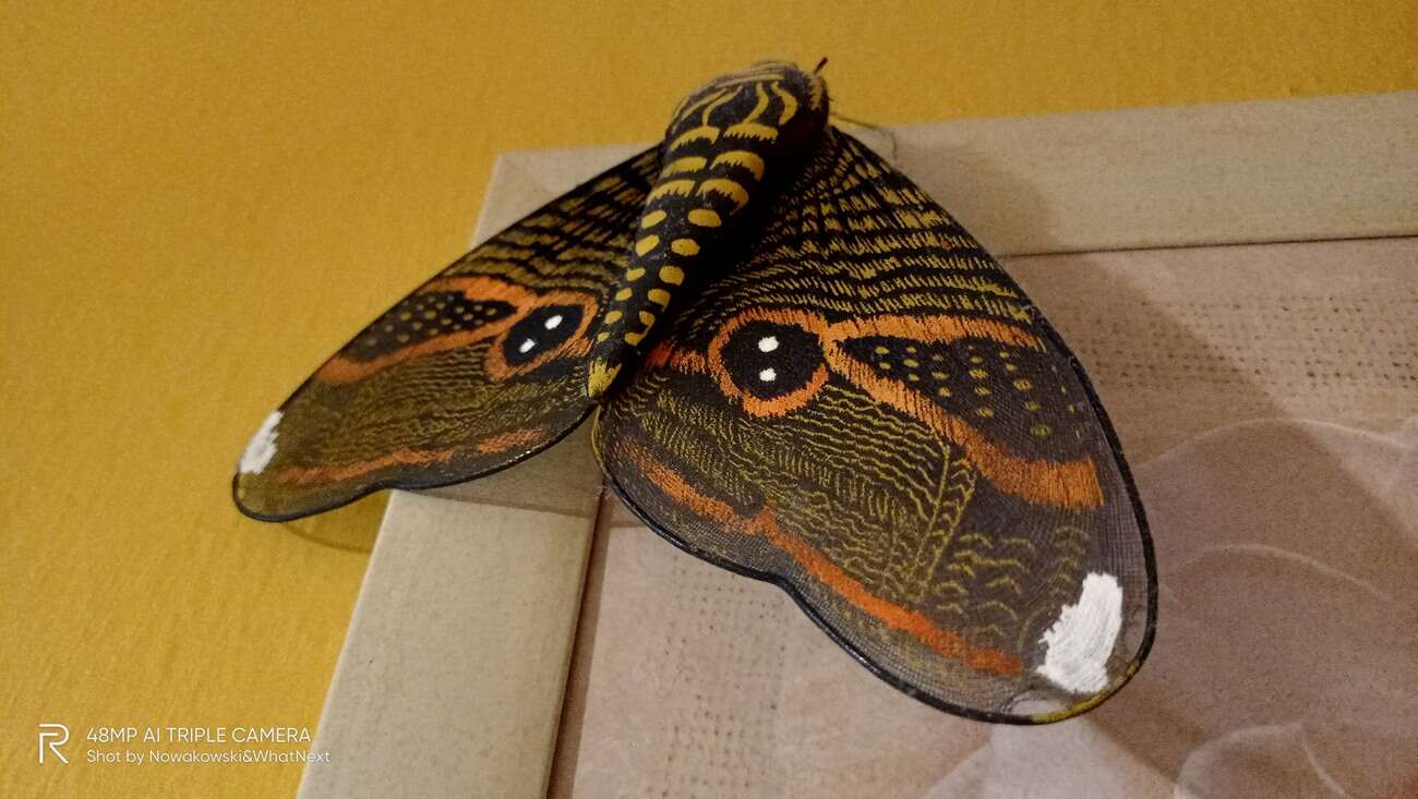 Są tanie smartfony i jest realme 7i. Co go wyróżnia?