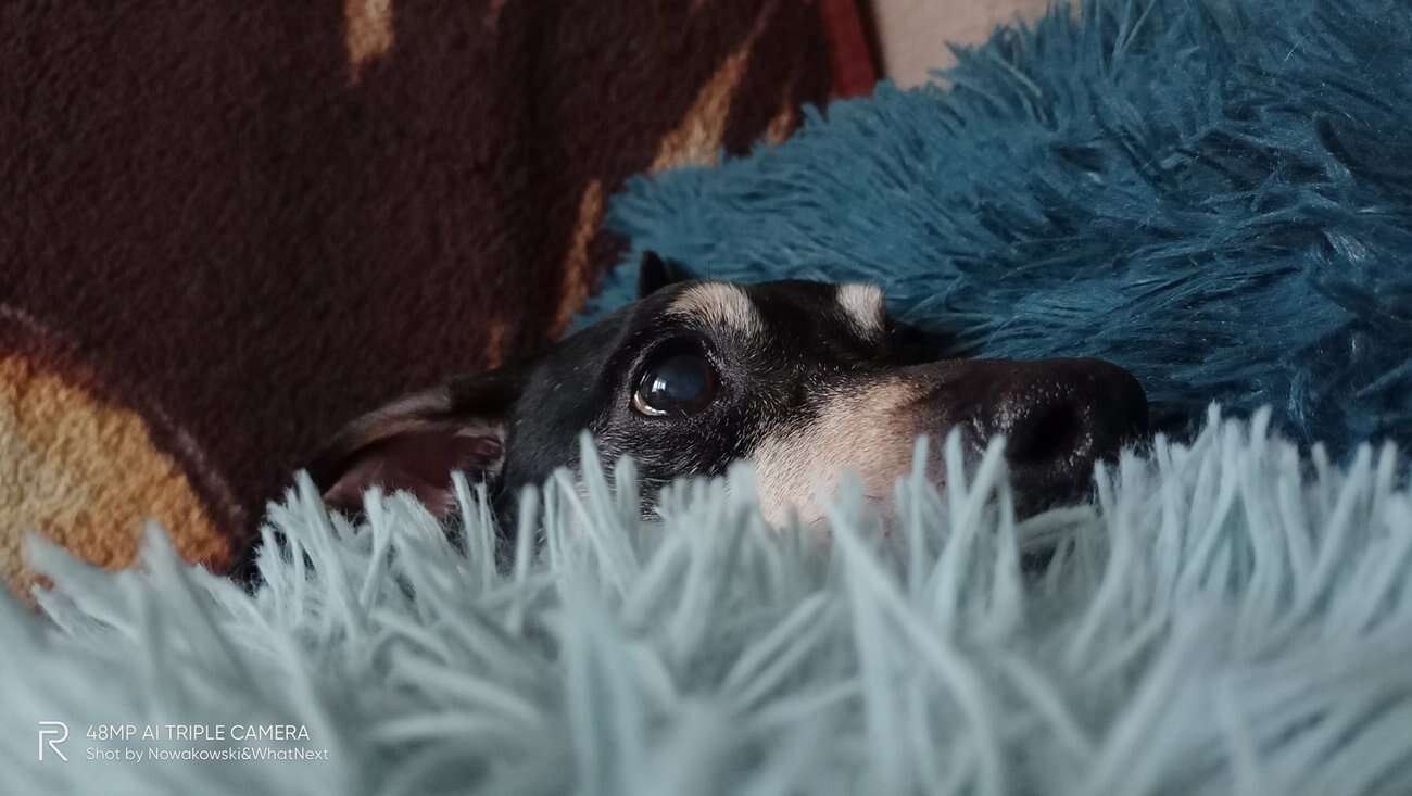 Test Realme 7i – najlepszy smartfon do 700 zł?