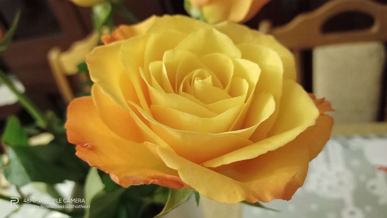 Test Realme 7i – najlepszy smartfon do 700 zł?