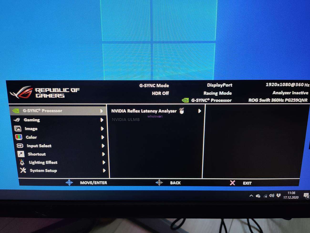 test Asus ROG Swift PG259QNR, recenzja Asus ROG Swift PG259QNR, opinia Asus ROG Swift PG259QNR