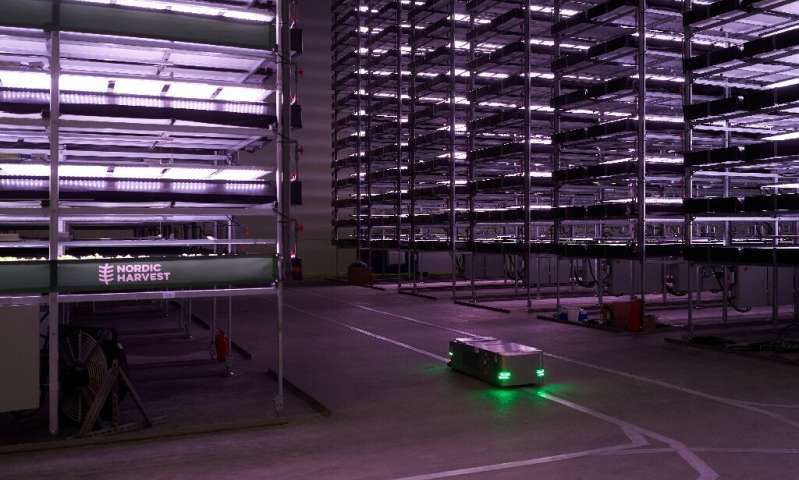 Pionowa farma napędzana wiatrem. Dania inwestuje w OZE