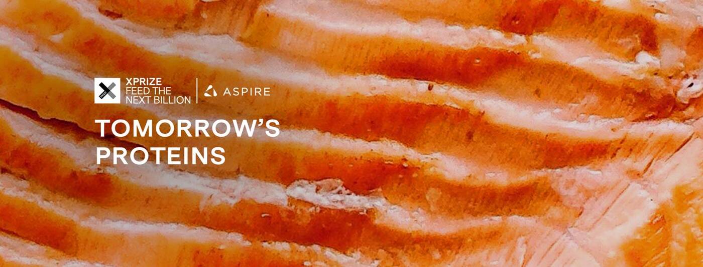 Rusza konkurs na alternatywne mięsa. W puli 55 milionów