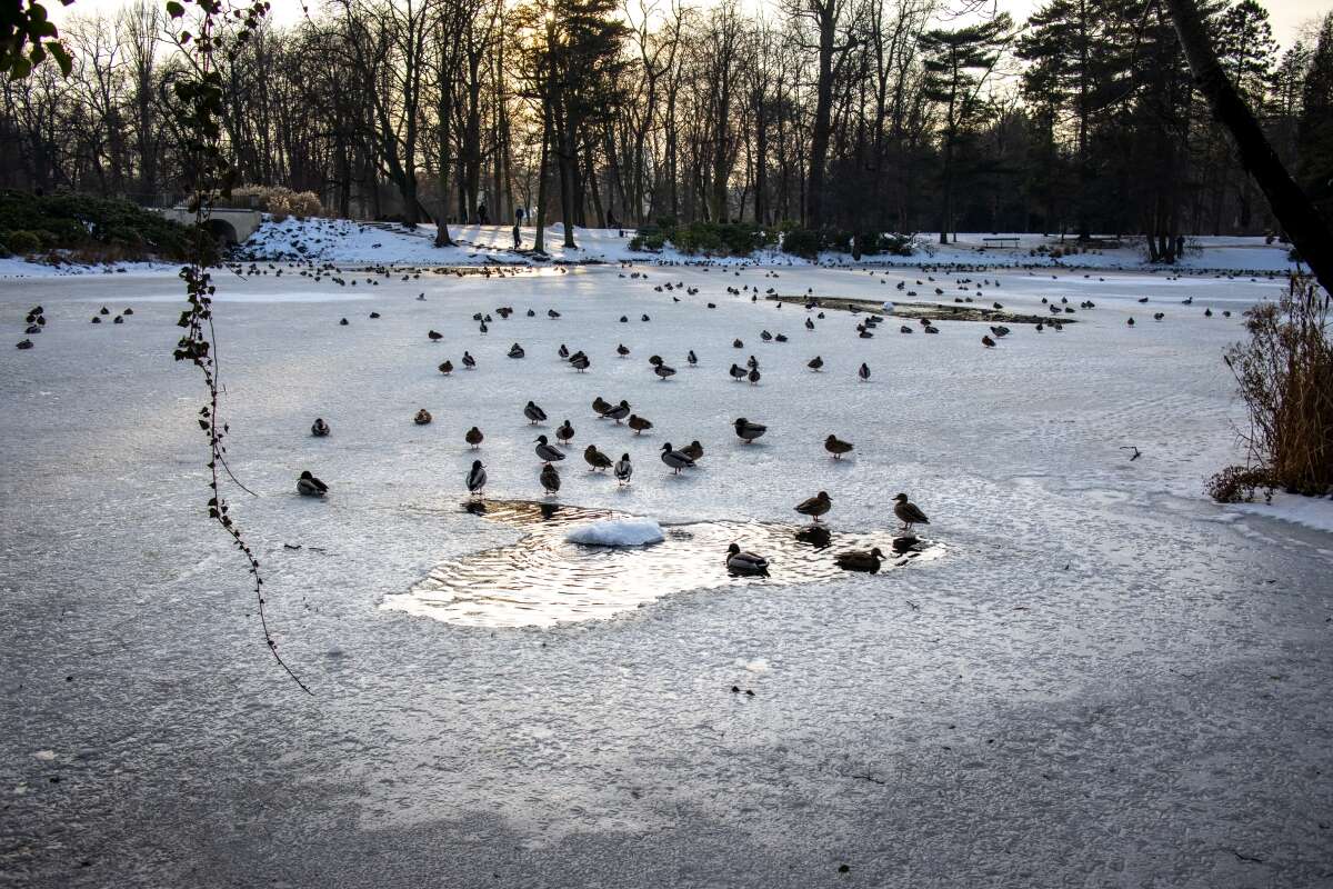 Recenzja Canon EOS M6 Mark II