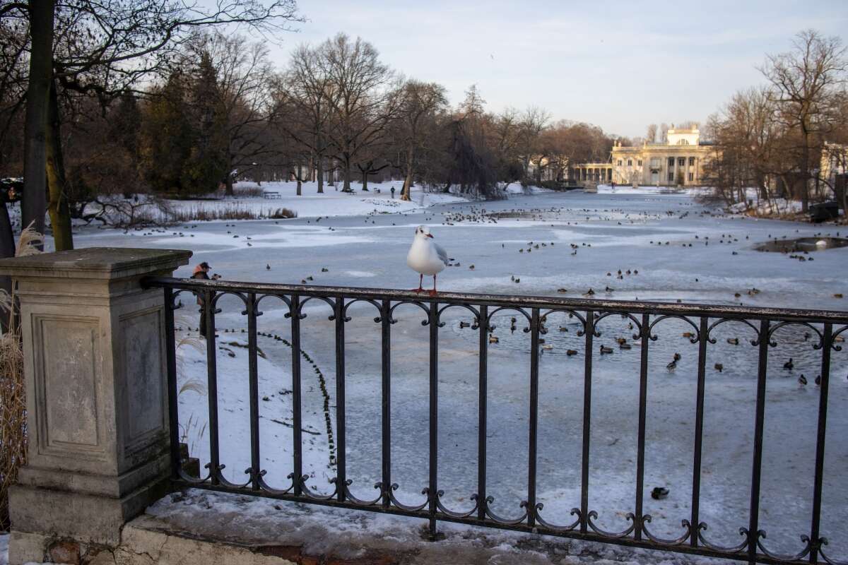 Recenzja Canon EOS M6 Mark II