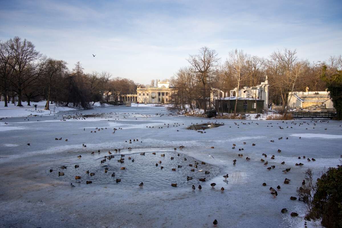 Recenzja Canon EOS M6 Mark II