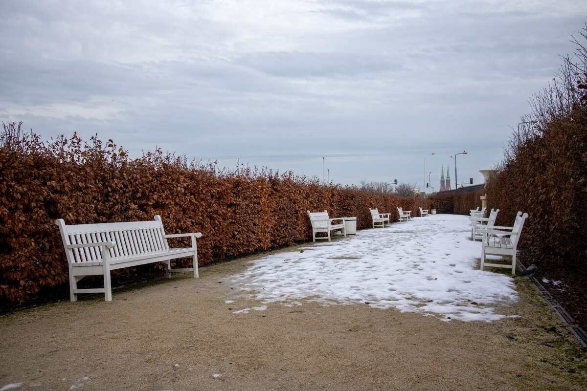 Recenzja Canon EOS M6 Mark II