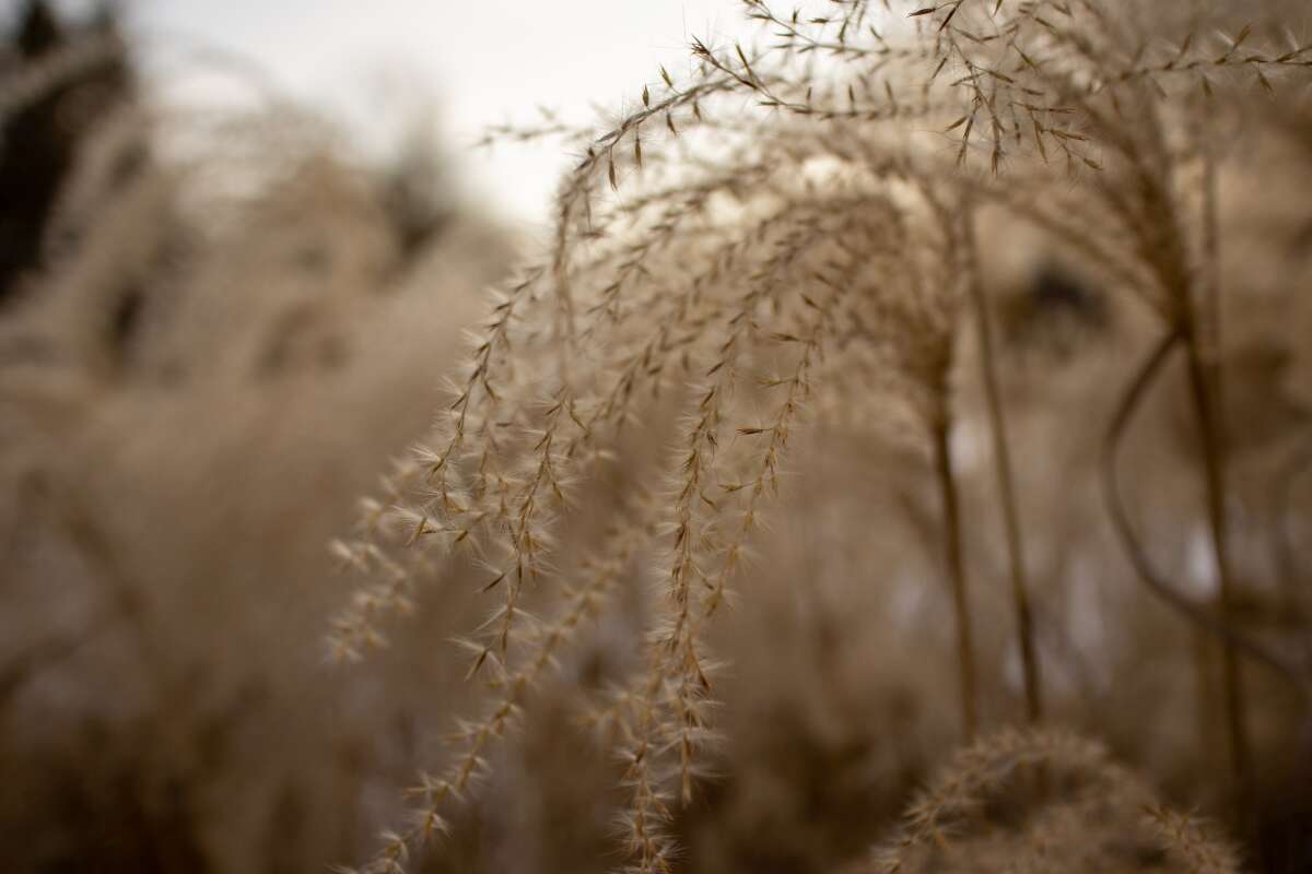 Recenzja Canon EOS M6 Mark II