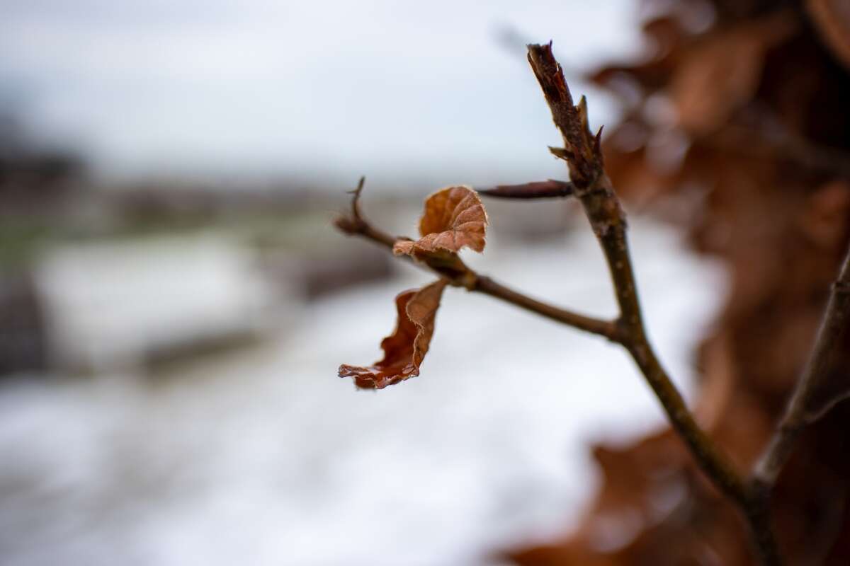 Recenzja Canon EOS M6 Mark II